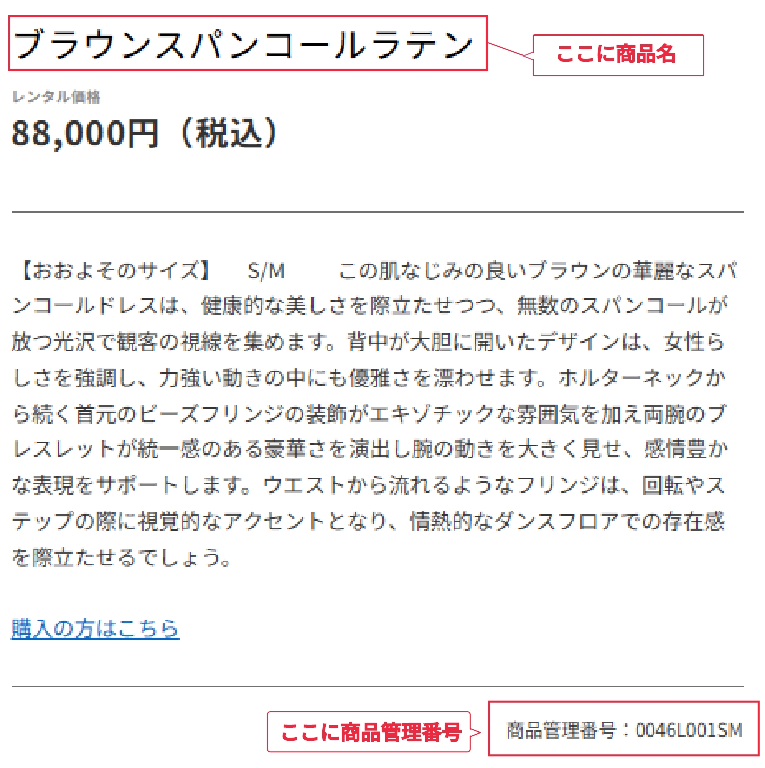 入力画面キャプチャ1