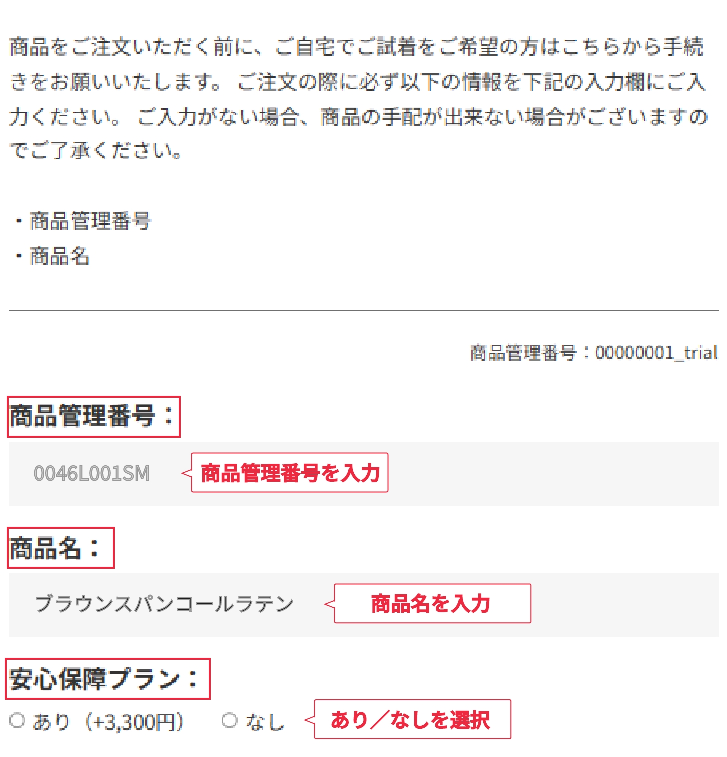 入力画面キャプチャ2